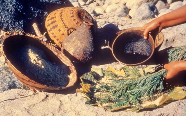 Traditional Monache Baskets