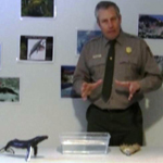 Glacier Bay Education Demonstration Videos