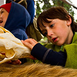 Plan Your Field Trip