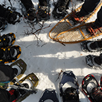 Borrow Our Snowshoes