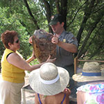 Sea Turtles Program