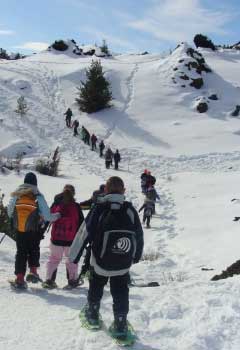 Snow School Snow School