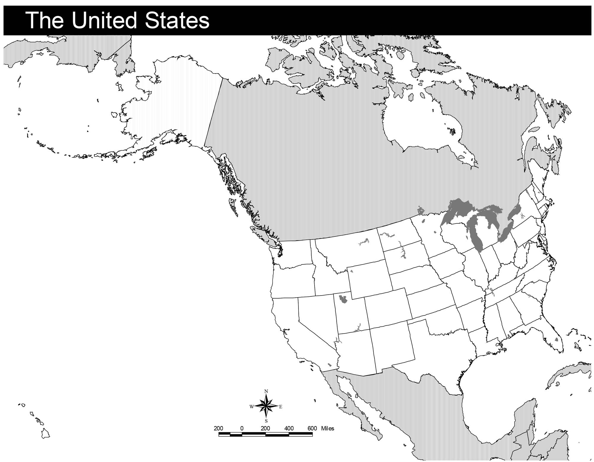 Fly Away! (Climate and Migration Patterns)