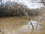 Weston Lake Flooded