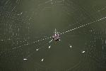Spinybacked Orbweaver at Congaree NP