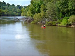 Paddlers enjoying a trip down the Congaree River