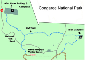 Congaree Trails and Camping Areas
