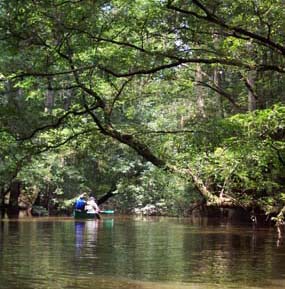 Canoeing on Cedar Creek