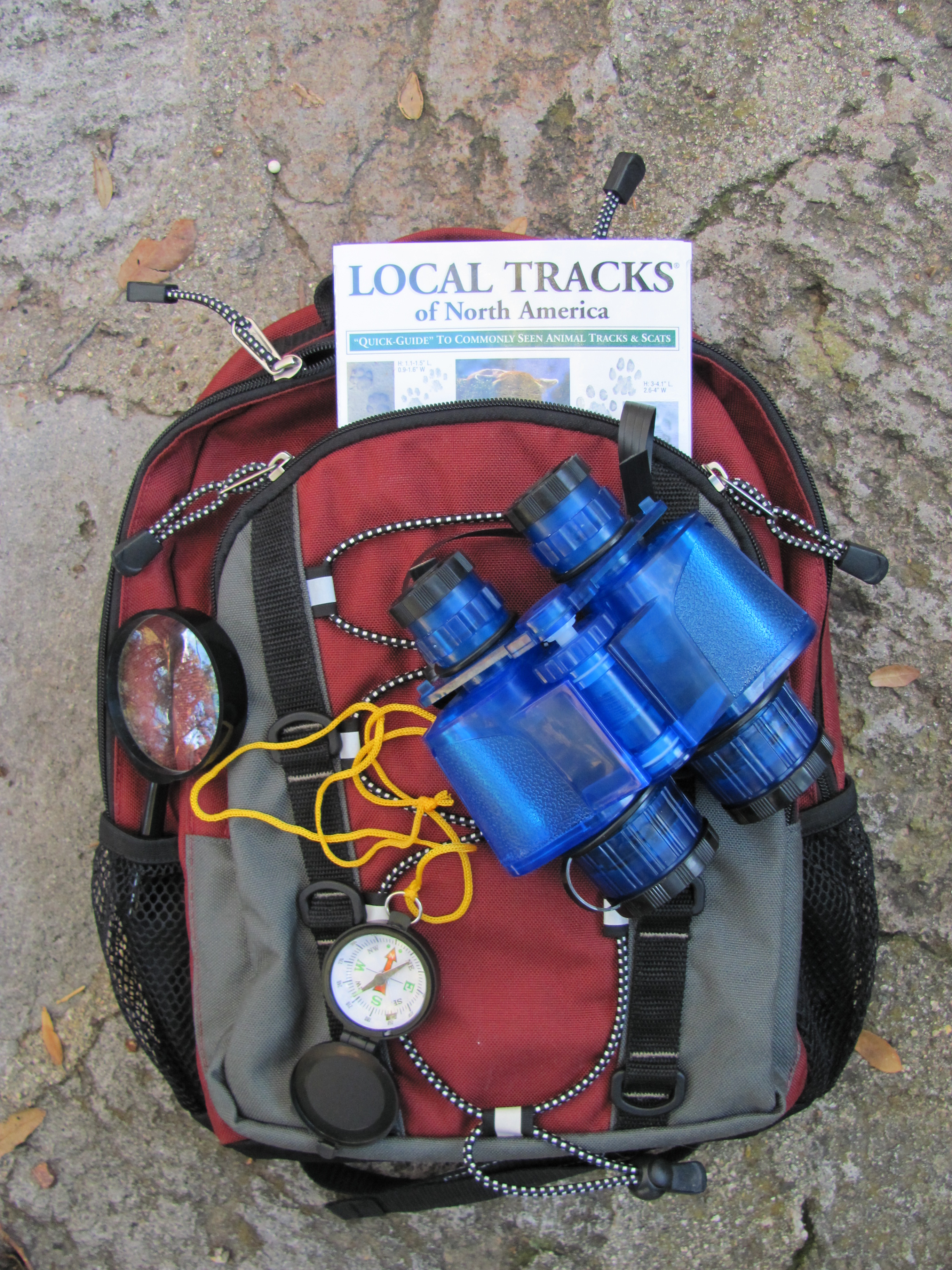 Discovery Daypack