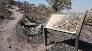 Burned sign along Coronado Peak Trail. 