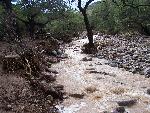 Damage behind the picnic area