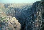 Ranger on canyon rim
