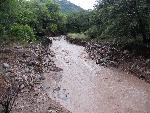 Montezuma Wash near picnic area