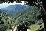 Montezuma Canyon with Road