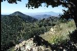View from the Crest Trail