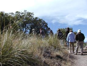 Hikers along Coronado Peak Trail
