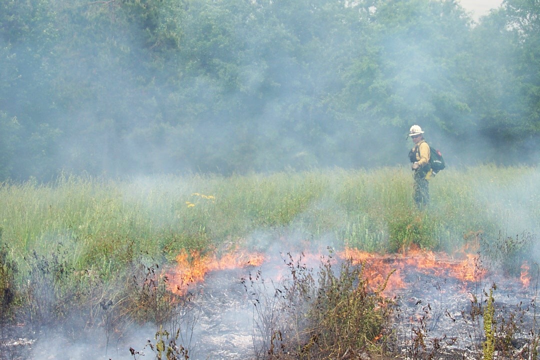 Prescribed burn