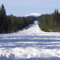 North Entrance under several feet of snow.