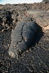 pahoehoe toe