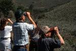 birdwatching