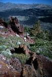 Big Cinder Butte view