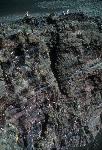 Echo Crater 1