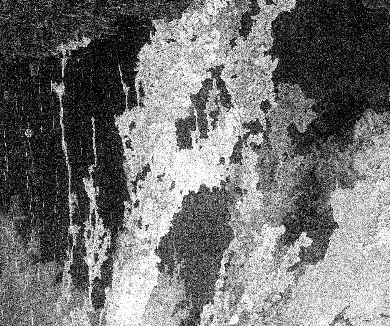 Venus