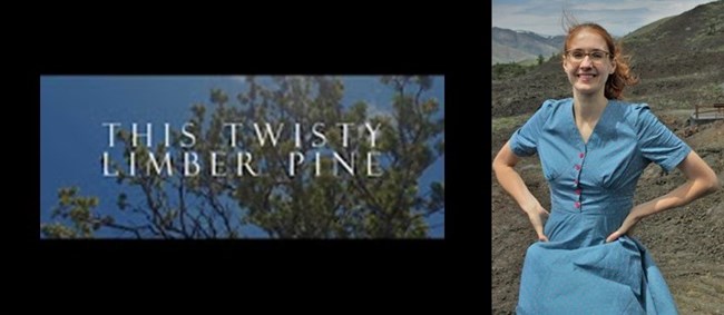 a screenshot of a tree with the text "this twisty limber pine" and a photo of a woman with red hair and a blue dress