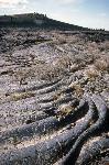 lava billows