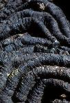 ropy pahoehoe 3