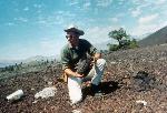 Engle and volcanic bomb
