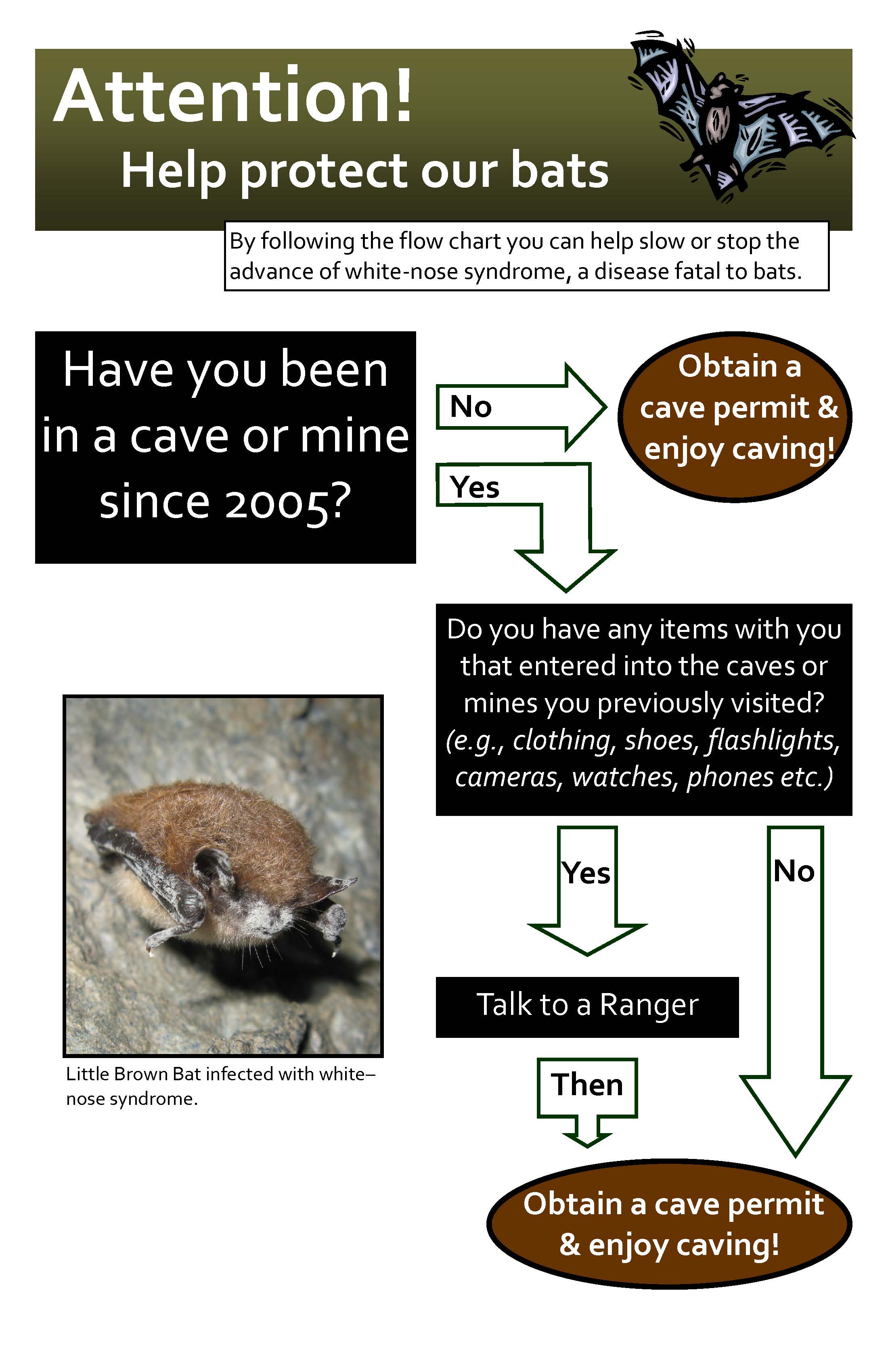 screening flowchart