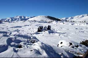 winter