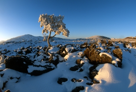 winter