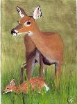 Painting of doe and fawn