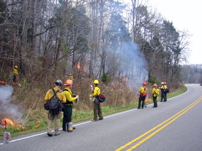 wildland firefighters conduct prescribed burn