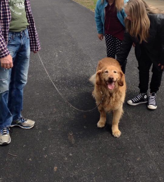 Dog on leash surrounded by three people