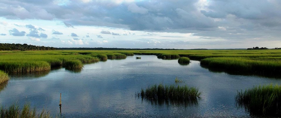 water filled marsh with bright green marsh grass, under cloudy sky