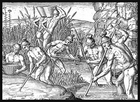 The Timucuans were known for their tools, as portrayed in this drawing.