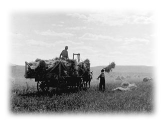 Haying in the Uncompahgre Valley.
