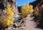 2. Pine Creek Trail