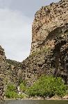 7. Curecanti Creek and Pioneer Point