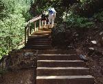 Pine Creek Stairs