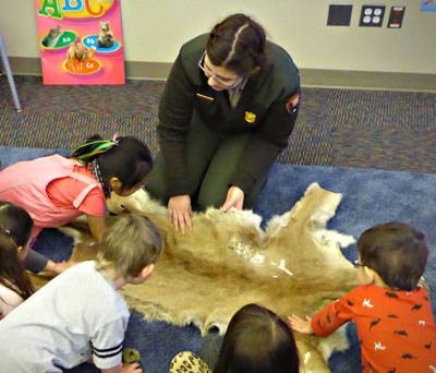 Children touch a cougar pelt presented by a ranger.