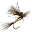 Fly Fishing
