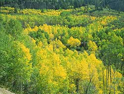 CO Highway 92