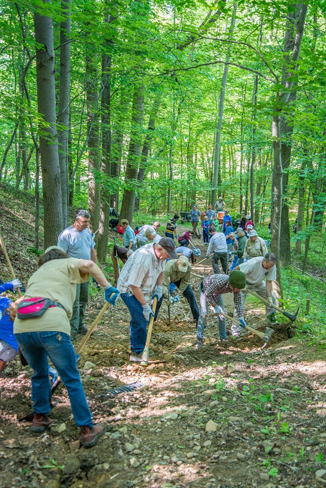 A group of 20 volunteers holding pick-axes work on a trail through a green forest.