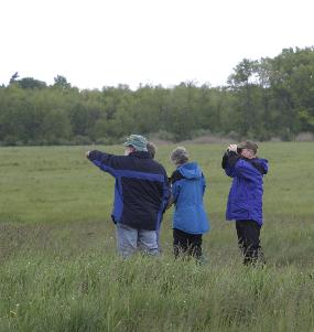 Bird watching.