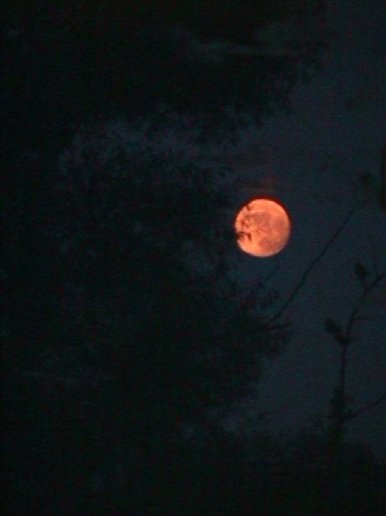 Moonrise near Ira Trailhead in late June.