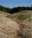 Krejci Dump West - Site Stabilized